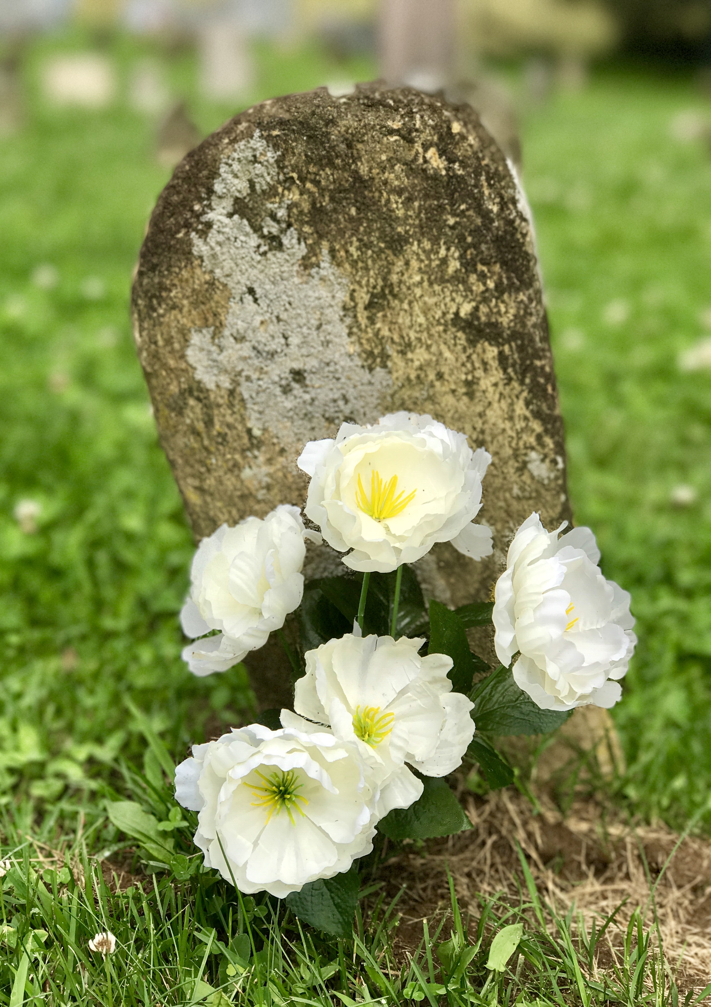 stone with flowers